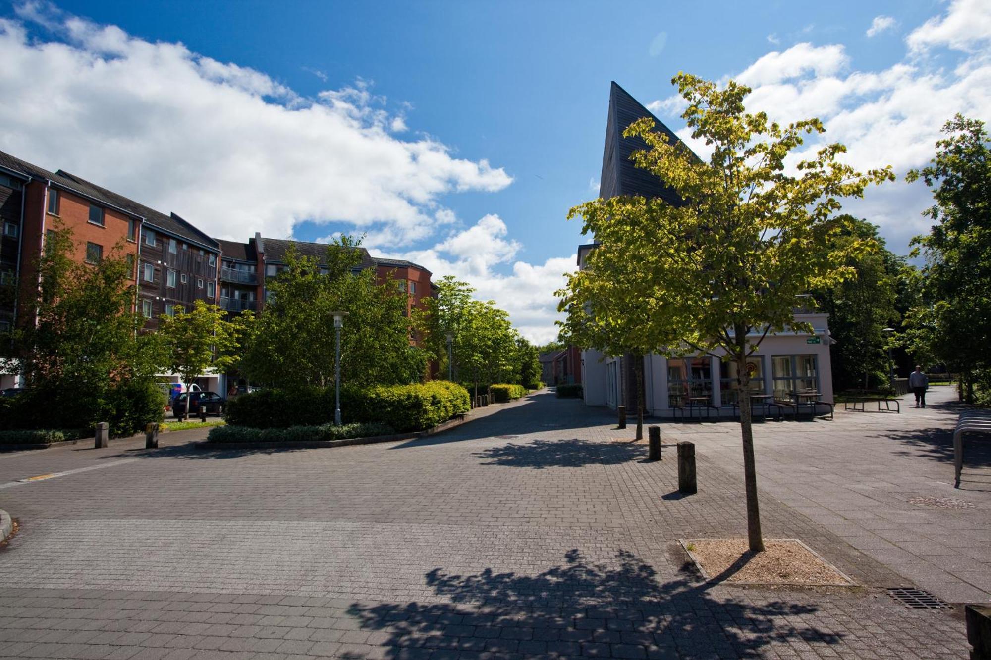 Dromroe Village University Of Limerick Junction Exteriör bild