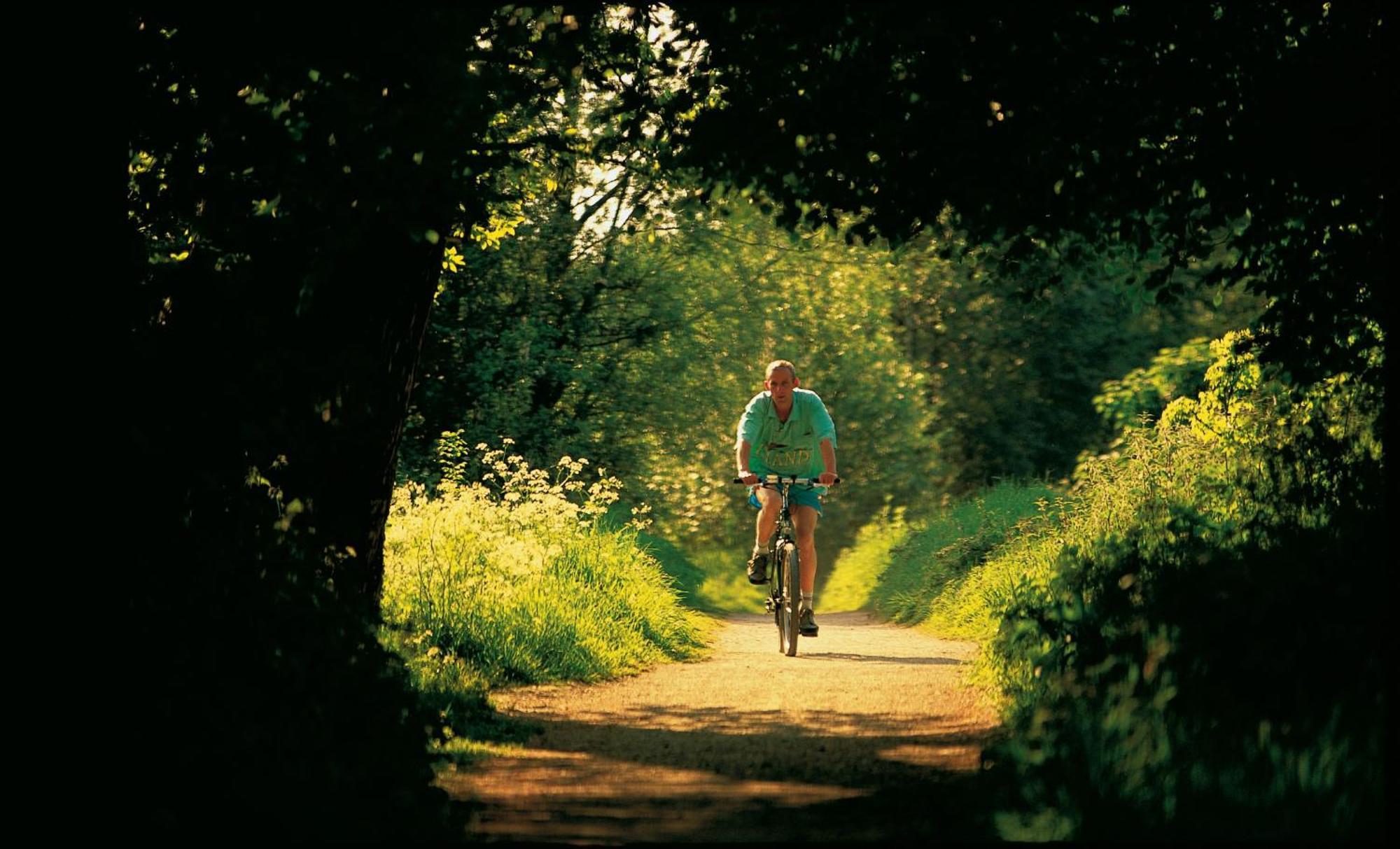 Dromroe Village University Of Limerick Junction Exteriör bild